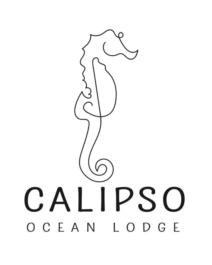 Calipso Ocean Lodge- Avellana Beach Hotel Плая Авеляна Екстериор снимка