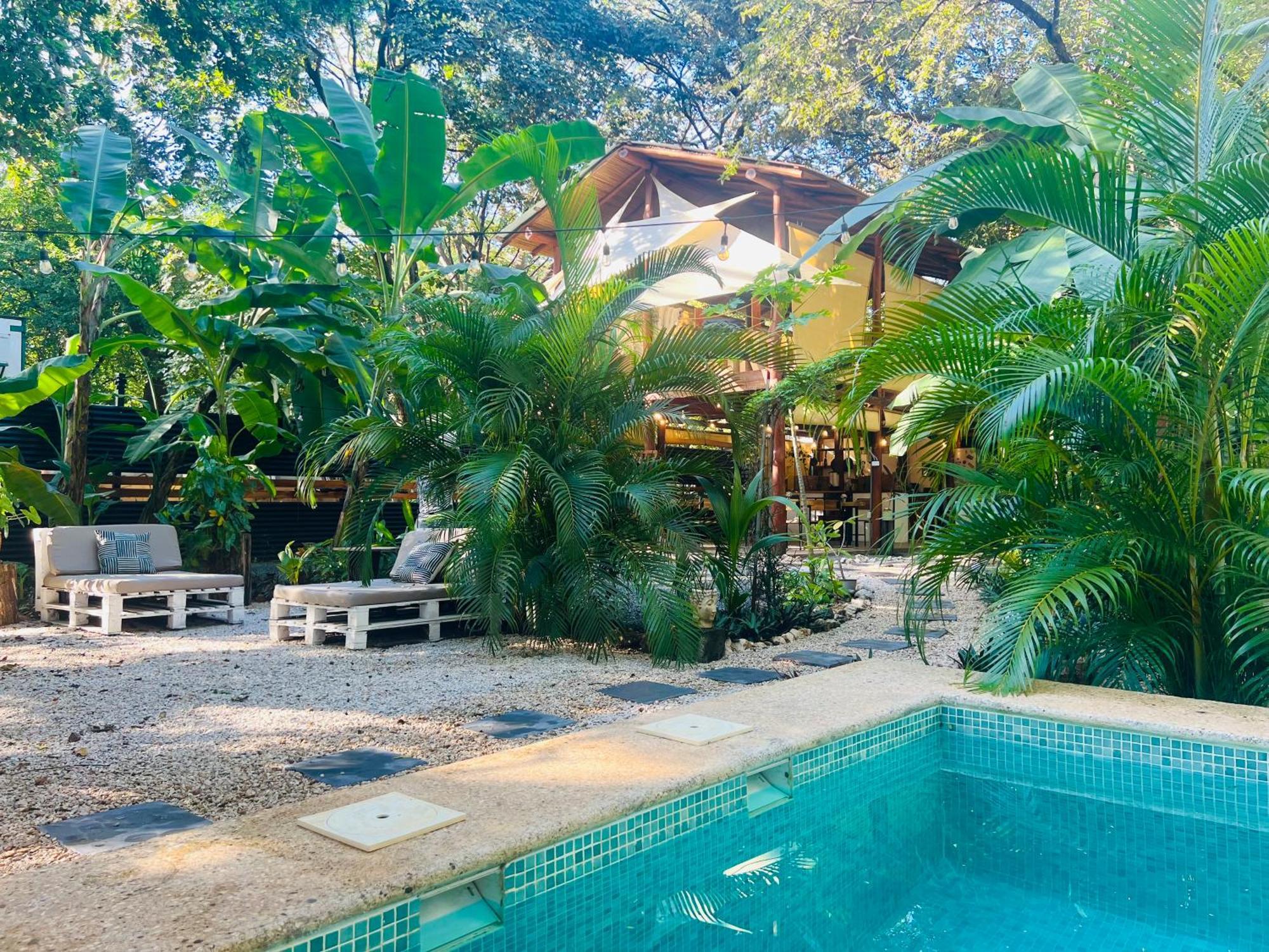 Calipso Ocean Lodge- Avellana Beach Hotel Плая Авеляна Екстериор снимка