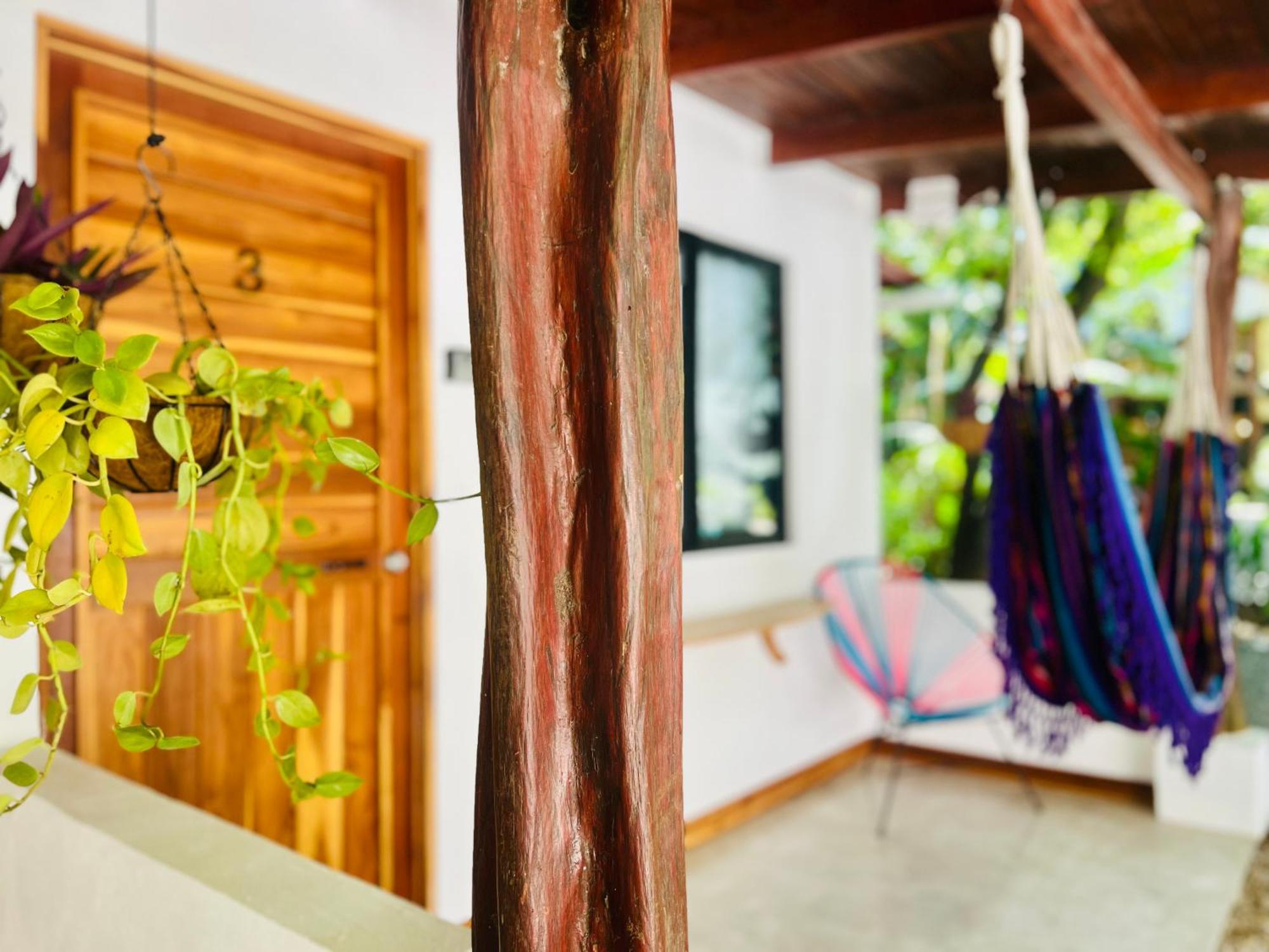 Calipso Ocean Lodge- Avellana Beach Hotel Плая Авеляна Екстериор снимка